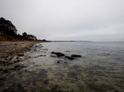 Dull day, clear water Dull day, clear water