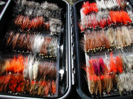 A well stocked flybox A well stocked flybox