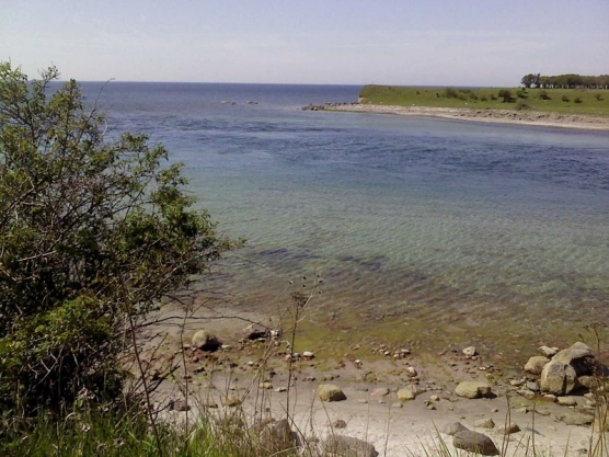 The deep run The deep run