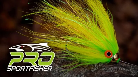 Video thumb for All About Pike