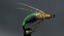 Video thumb for JCs Electric Caddis Pupa