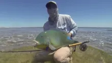 Video thumb for Blue Bone on fly in Western Australia