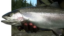 Video thumb for Weekend Chrome