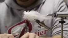 Video thumb for The Thickness: Big Natural Materials Predator Fly