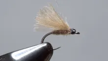 Video thumb for F-Fly