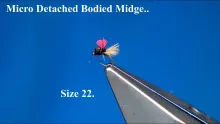 Video thumb for Micro Detached Bodied Midge