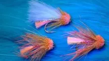 Video thumb for The Sunburst Coral Muddler