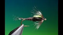 Video thumb for Black Martinez