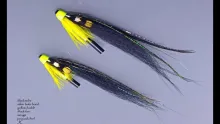 Video thumb for Fl. Yellow Conehead Dee Monley