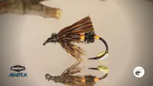 Video thumb for Butterfly