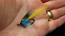 Video thumb for Iain Bain Special