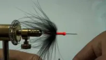 Video thumb for Eumer Egg Sucking Leech