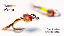 Video thumb for Rainbow Warrior
