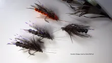 Video thumb for Stonefly Gadger