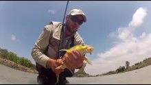 Video thumb for Vaal Streams Flyfishing Drift