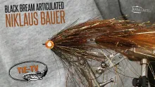 Video thumb for Black Bream Articulated
