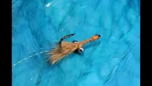 Video thumb for Bunny Bone