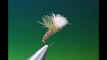 Video thumb for CDC Emerger