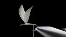Video thumb for Double slip Wings