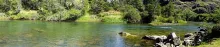 User submitted picture: Ñirehuao River