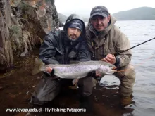 User submitted picture: Fly Fishing Gammarus Scud...