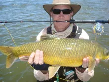 User submitted picture: yellow fish caught in the...