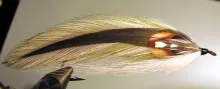 User submitted picture: Copperhead Streamer - Ori...