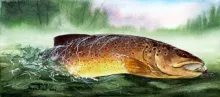 User submitted picture: This is a little painting...