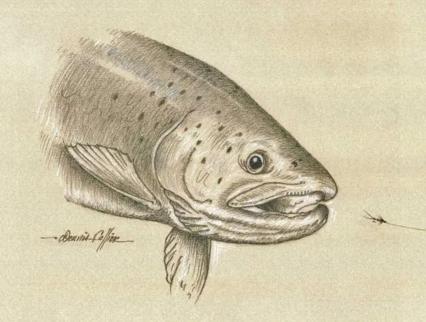 User submitted picture: "Lunch On The Run" is a...