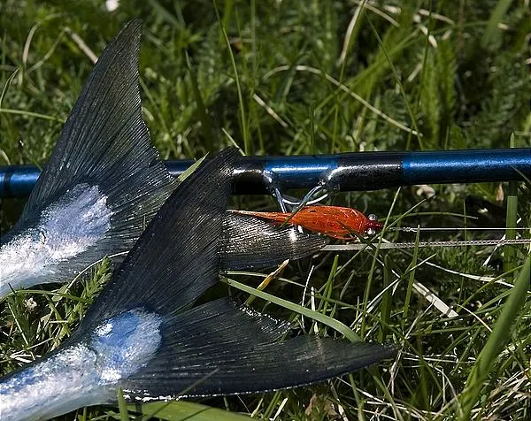 User submitted picture: Chillimps, Xi2, and garfi...