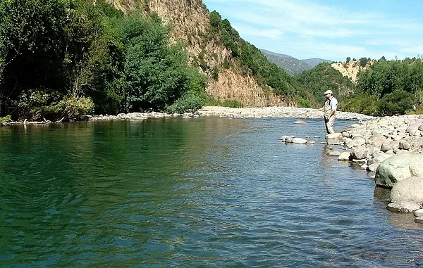 User submitted picture: Esperando el momento...
...