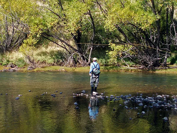 User submitted picture: Fishing DryFly in the Ma...